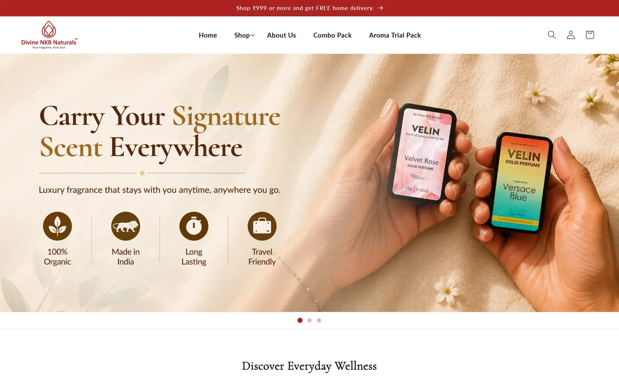 Divine NKB Naturals homepage on desktop