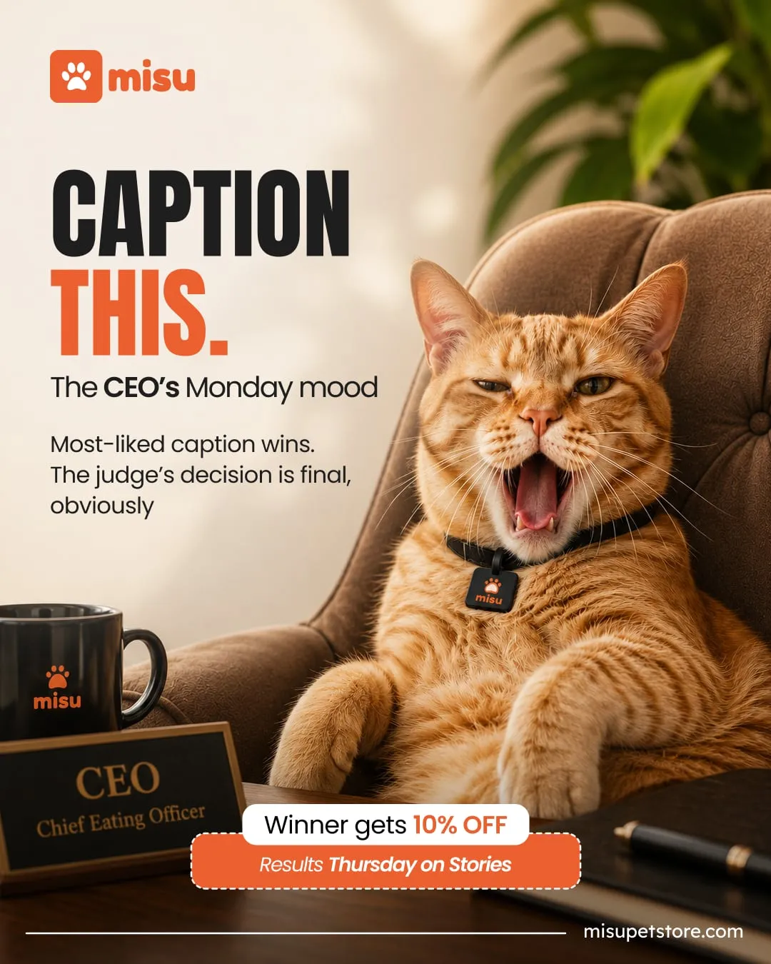 Misu: Caption contest